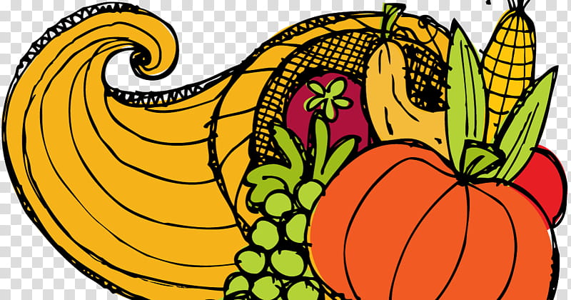Thanksgiving Turkey Drawing, National Thanksgiving Turkey Presentation, Cornucopia, Turkey Meat, Holiday, Pumpkin Pie, Black Turkey, Plant transparent background PNG clipart