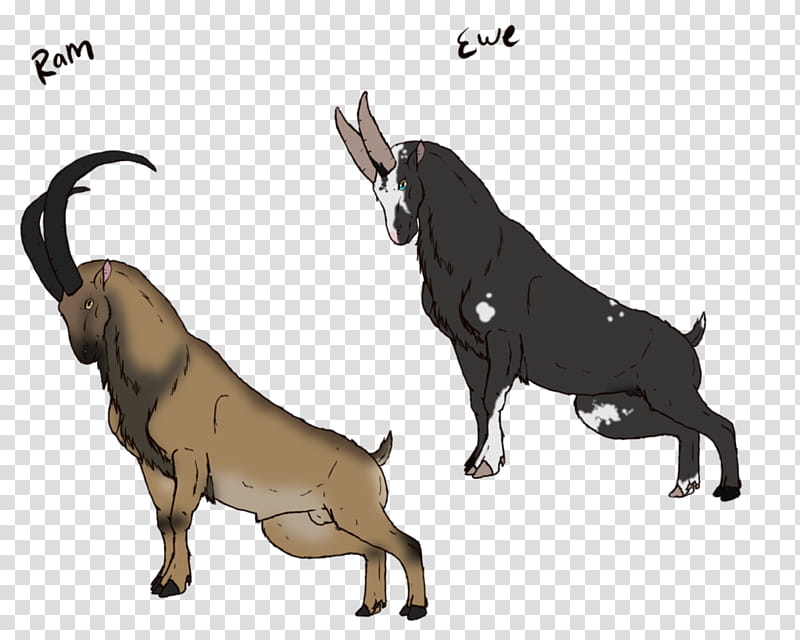 Goat, Dog, Alpine Ibex, Horse, Cattle, Ox, Breed, Live, Horn, Artist transparent background PNG clipart