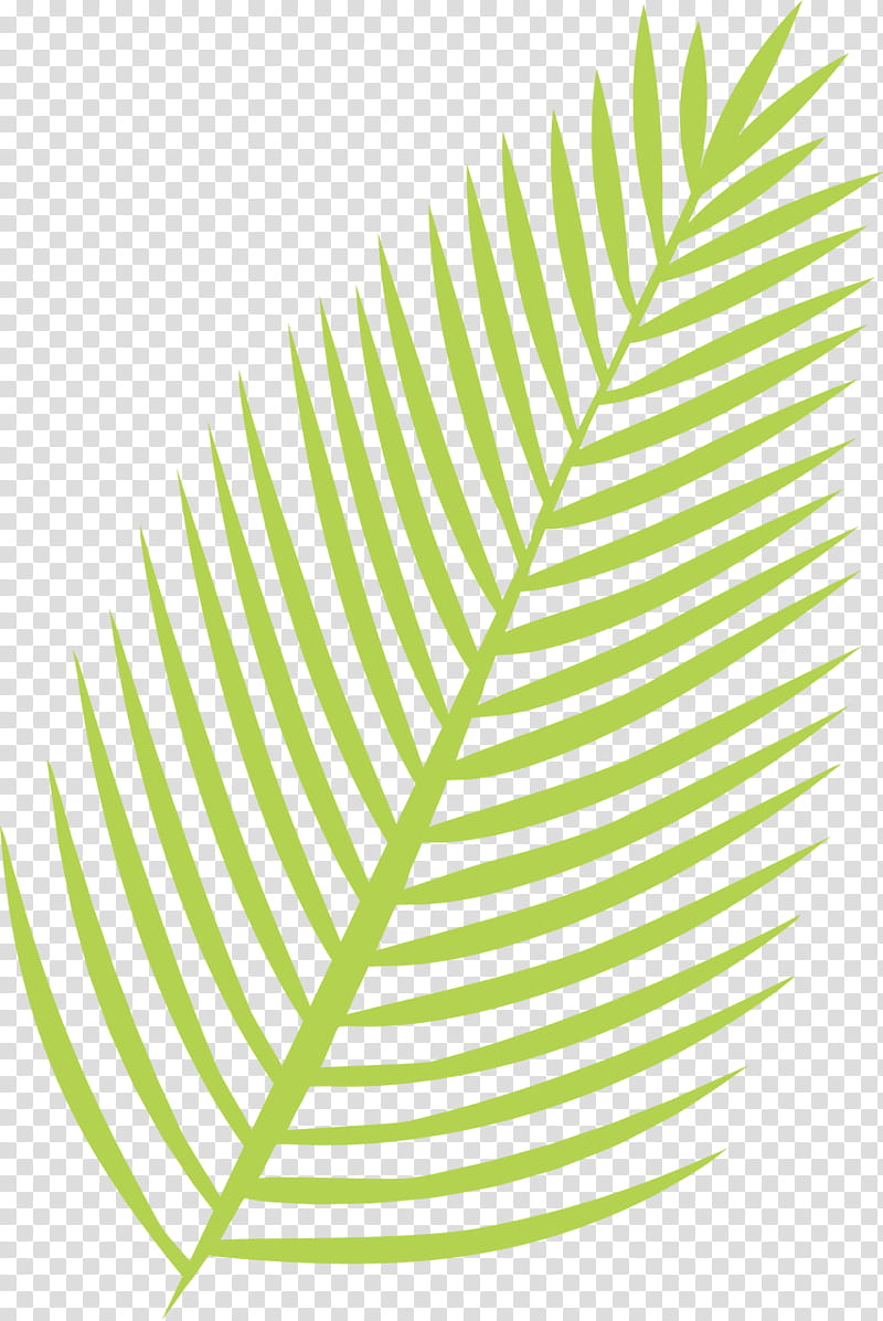 Green Leaf, Paper, Stencil, Idea, Palm Trees, Frames, Puzzle, Line transparent background PNG clipart