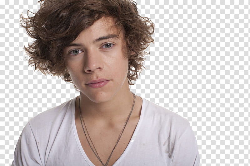 one direction, One Direction member transparent background PNG clipart