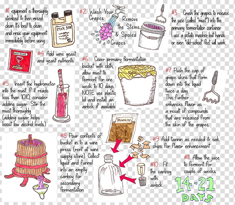 Wine, Winemaking, Paper, Infographic, Email, Total Wine More, Text, Line transparent background PNG clipart
