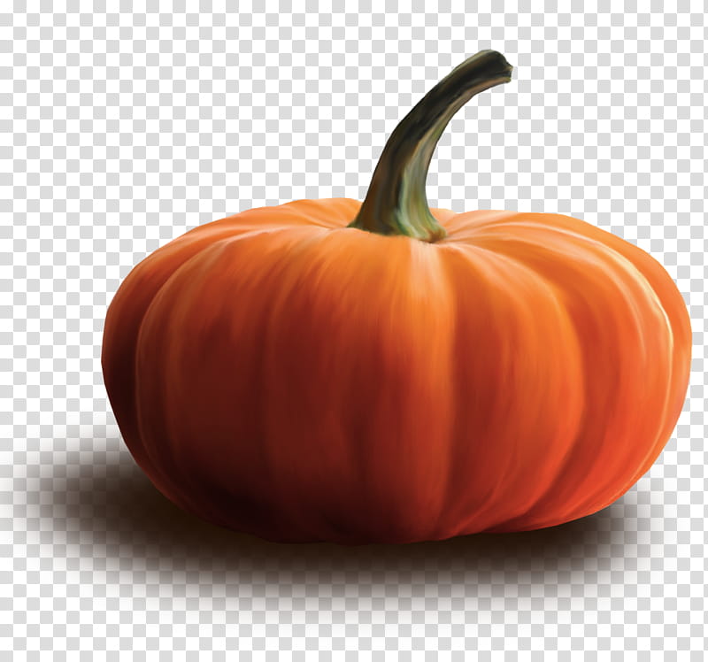 Autumn, orange pumpkin illustration transparent background PNG clipart