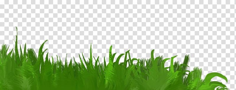 Green Grass, Wheatgrass, Honey, Blog, Rss, Computer, Yandex, Grassland transparent background PNG clipart