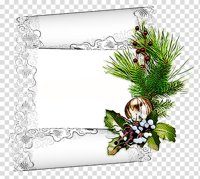 frame, Fir, Rectangle, Plant, Pine, Pine Family, Frame, Holly transparent background PNG clipart