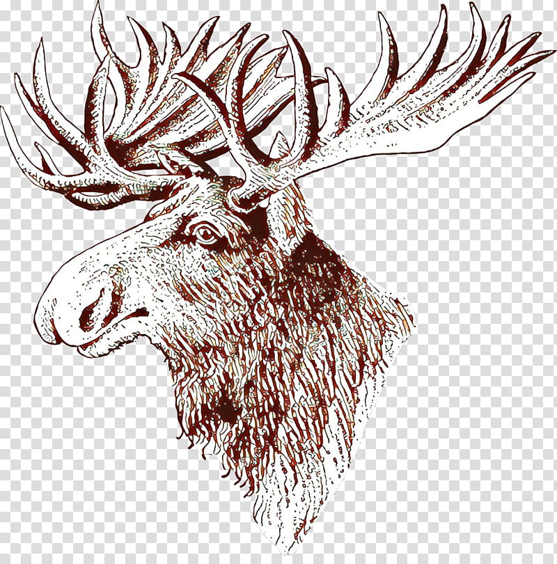 head elk drawing horn line art, Deer, Antler, Moose transparent background PNG clipart