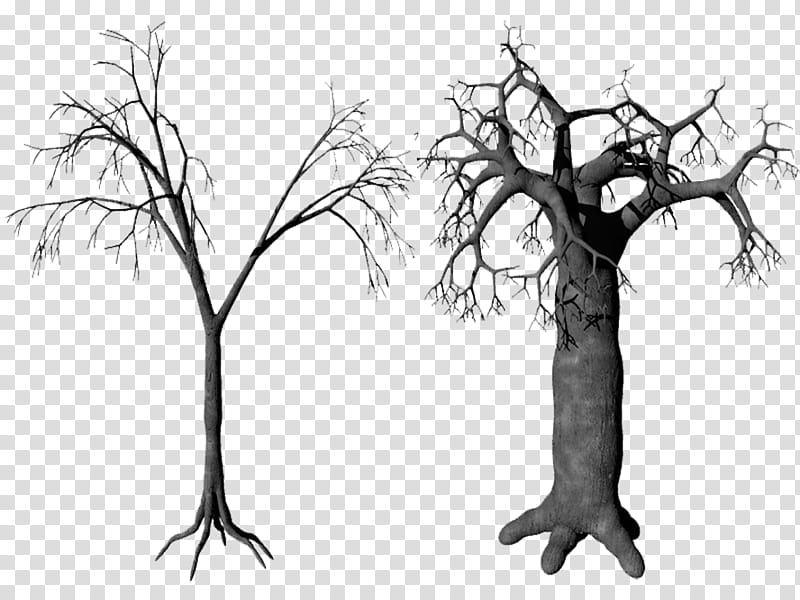 tree, two gray bare trees transparent background PNG clipart