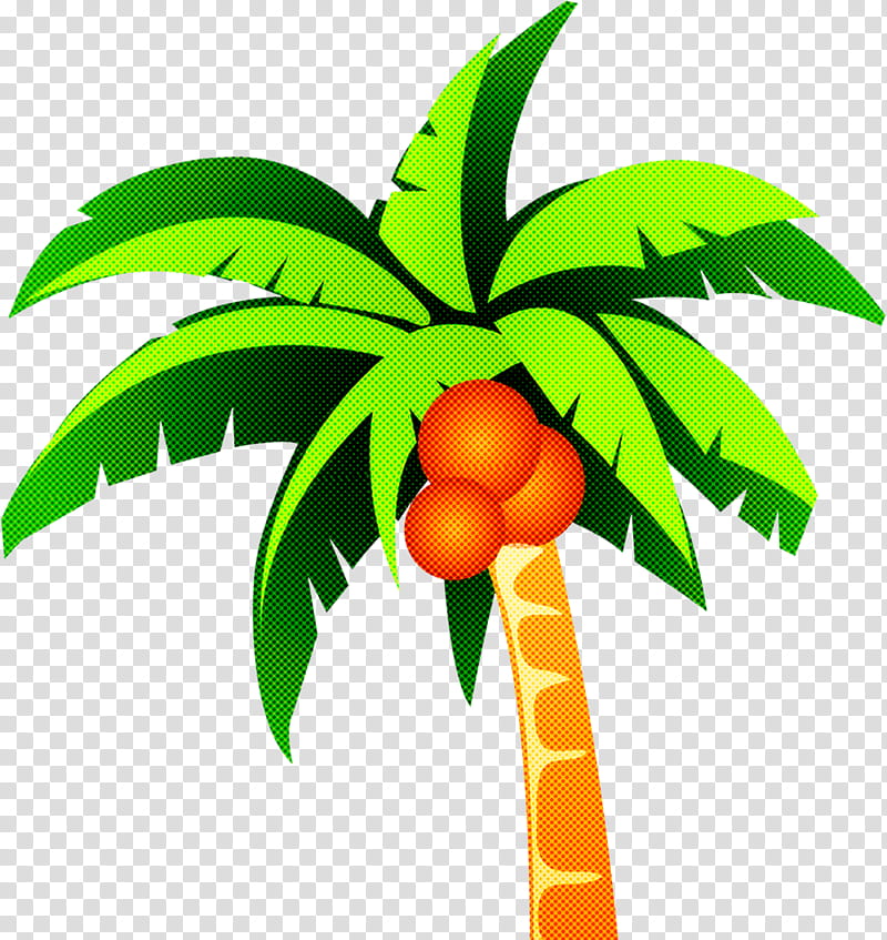 Palm tree, Leaf, Plant, Woody Plant, Flower, Fruit, Citrus, Orange transparent background PNG clipart