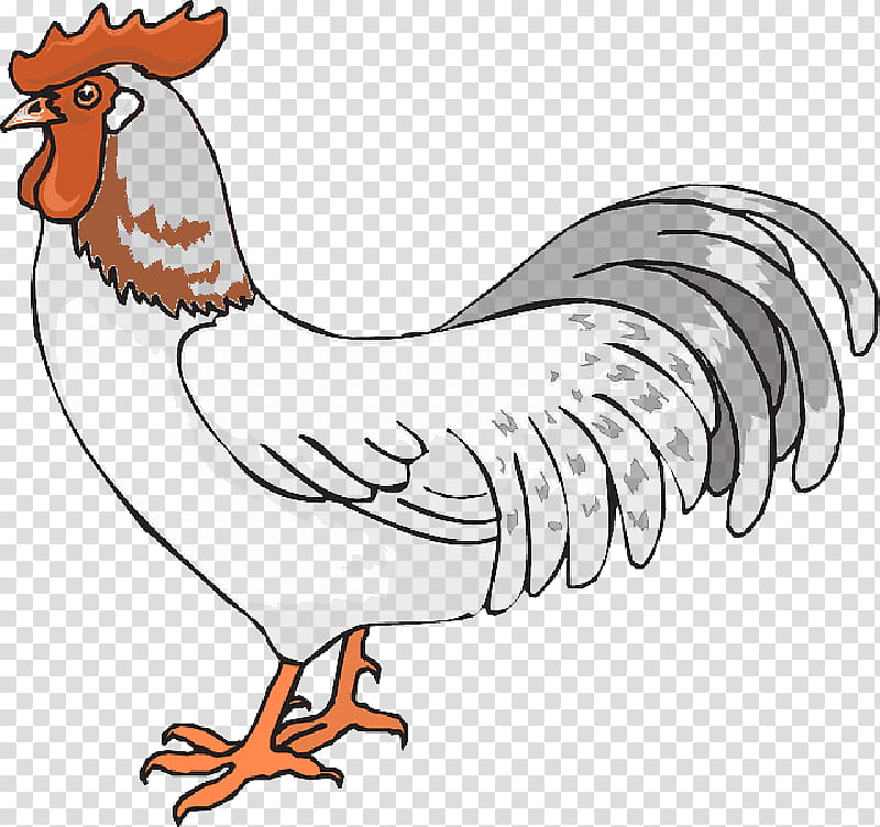 Bird Drawing, Cartoon, Rooster, Foghorn Leghorn, Chicken, Silhouette, Comb, Beak transparent background PNG clipart