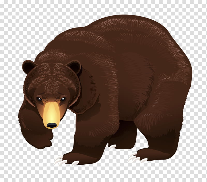 Bear, Brown Bear, Drawing, Omnivore, Snout, Grizzly Bear transparent background PNG clipart