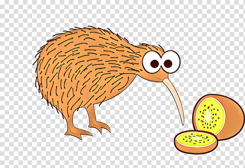 Kiwi, Cartoon, Hedgehog, Flightless Bird, Erinaceidae, Domesticated Hedgehog, Porcupine transparent background PNG clipart