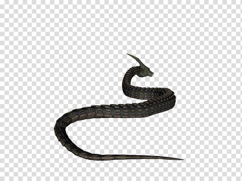 Dinokonda , black and grey dragon serpent transparent background PNG clipart