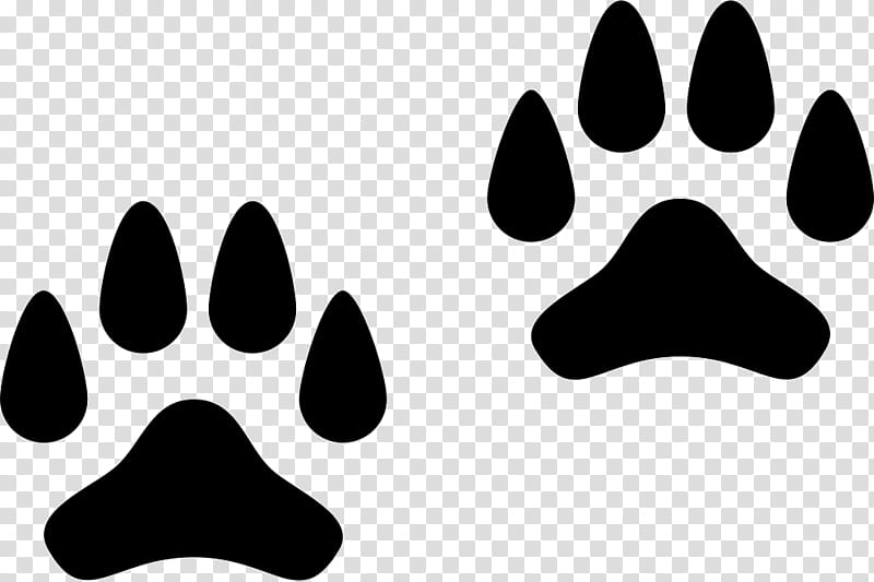 Dog Icon, Paw, Animal Track, Pet, Share Icon, Footprint, Snout, Line transparent background PNG clipart