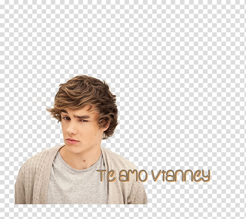 Hair, Liam Payne, One Direction, Up All Night, Boy Band, Digital Art, February, Harry Styles transparent background PNG clipart