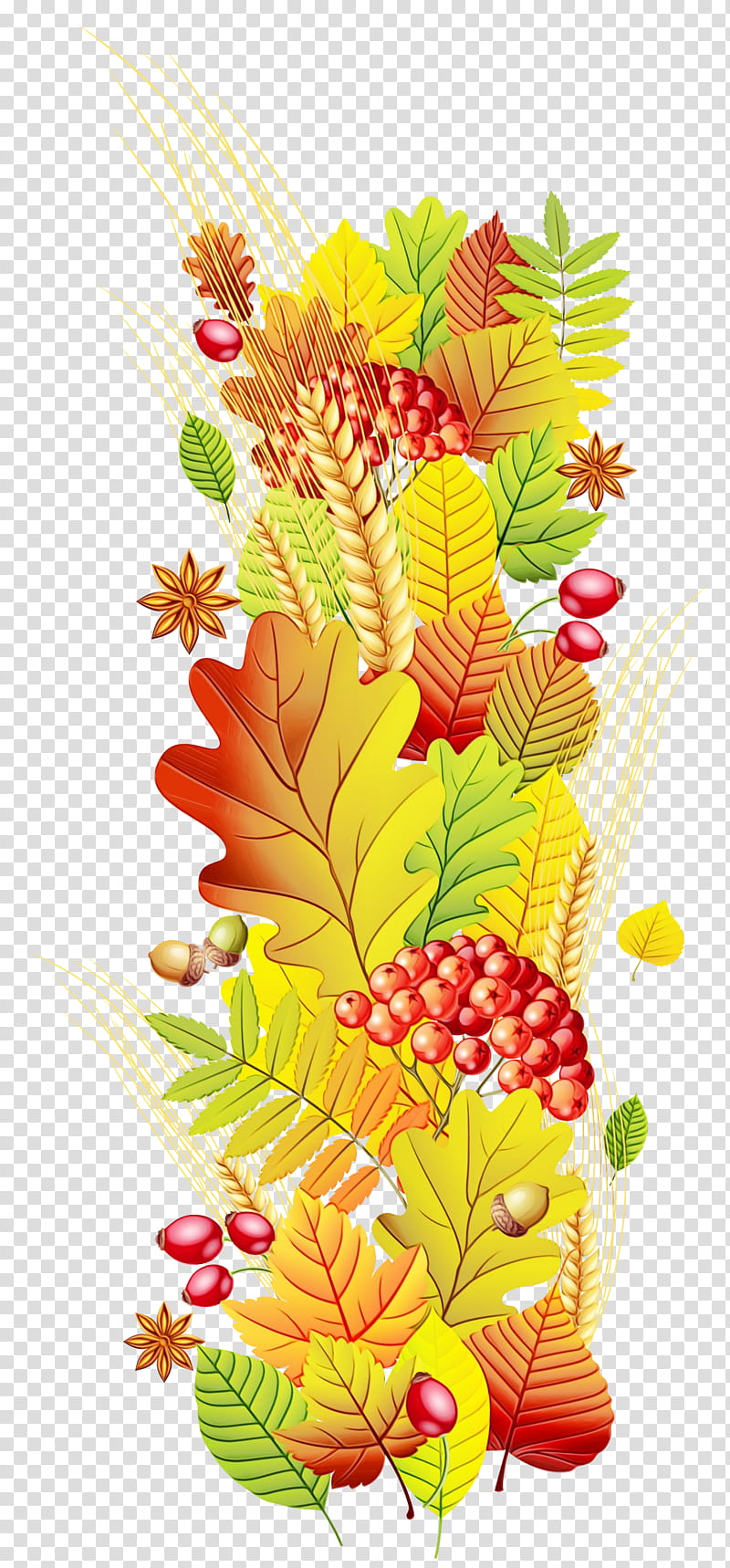 Autumn Leaf Drawing, Watercolor, Paint, Wet Ink, Autumn Leaf Color, Plant, Tree, Flower transparent background PNG clipart