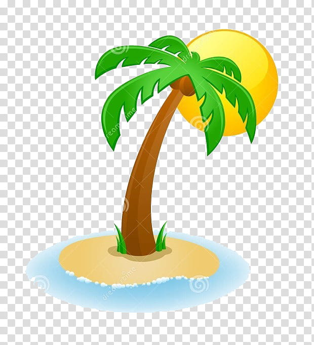 Coconut Tree Drawing, Palm Trees, Swimming Pools, Plant, Leaf, Fruit, Food, Flowerpot transparent background PNG clipart