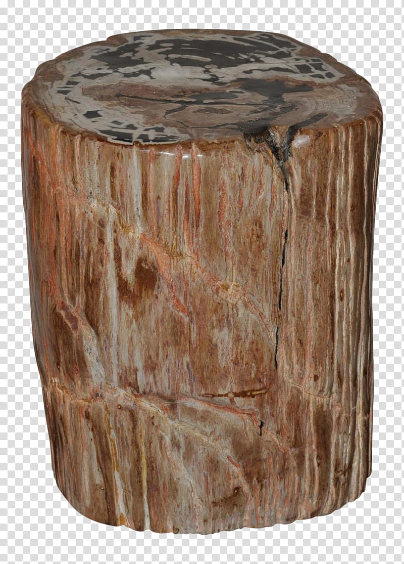 Tree Trunk, Table, Petrified Wood, Coffee Tables, Petrifaction, Mineral, Seat, Fossil transparent background PNG clipart
