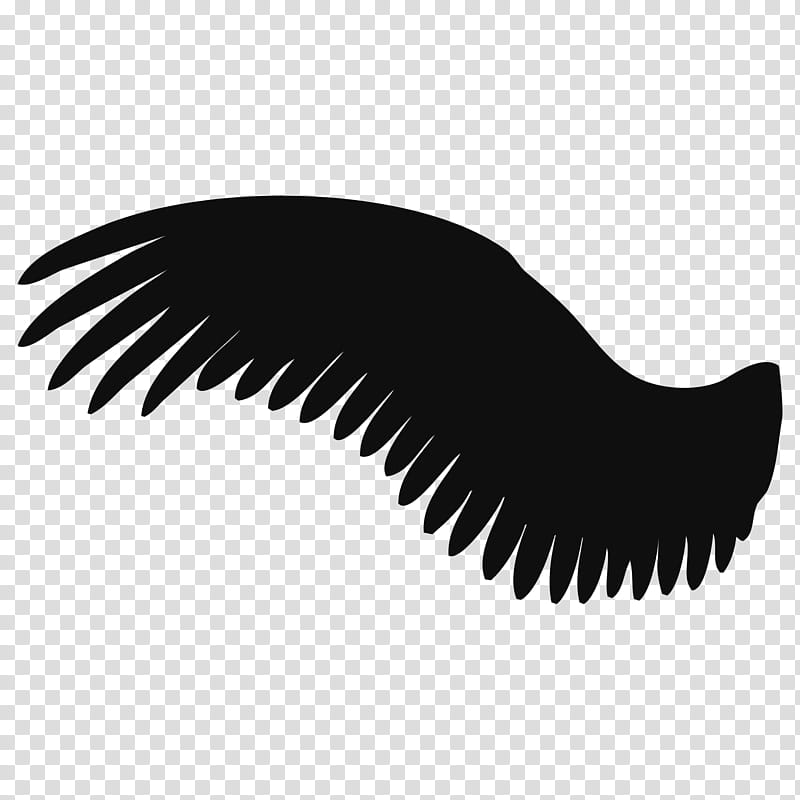 Wings Custom Shapes transparent background PNG clipart