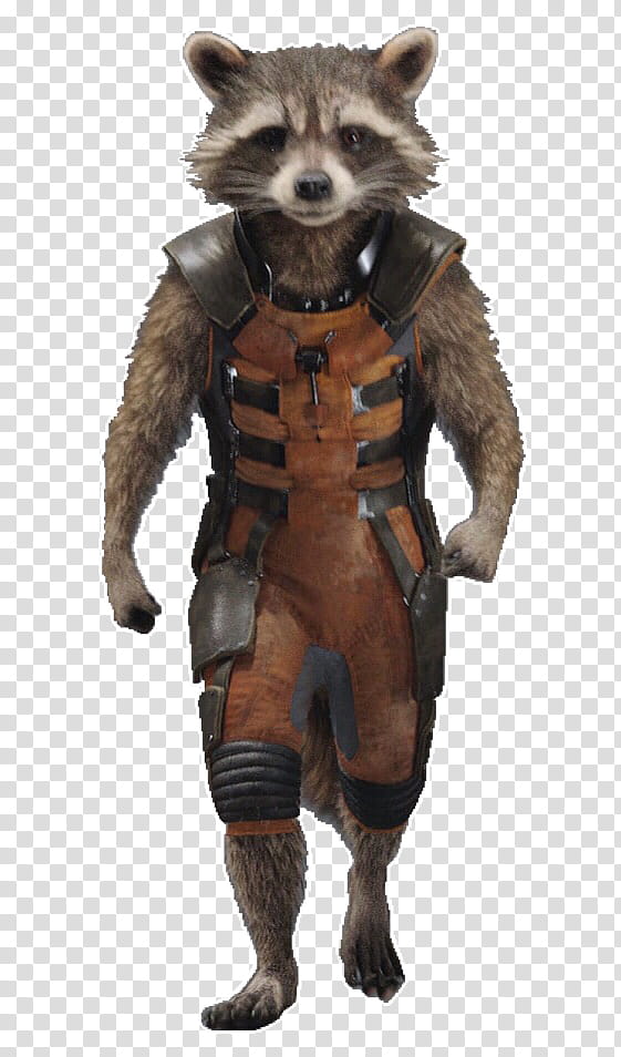 Guardians Rocket Raccoon  transparent background PNG clipart