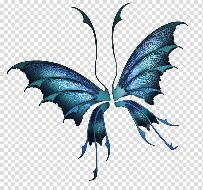 Magical Wings , blue and black butterfly illustration transparent background PNG clipart