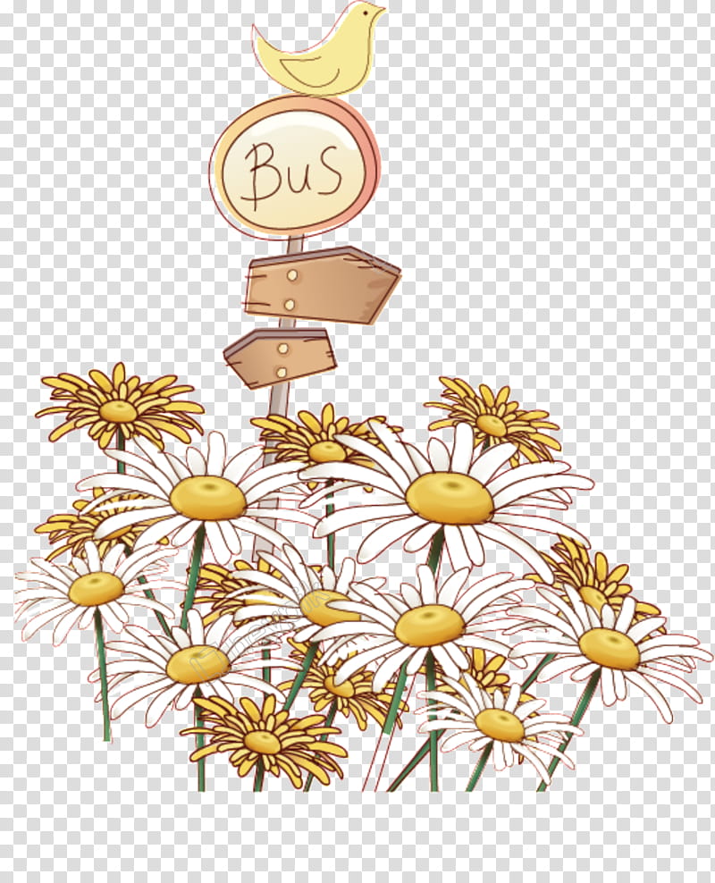 Flowers, Pigeons And Doves, Yellow, Chamomile, Camomile, Plant, Wildflower, Sunflower transparent background PNG clipart