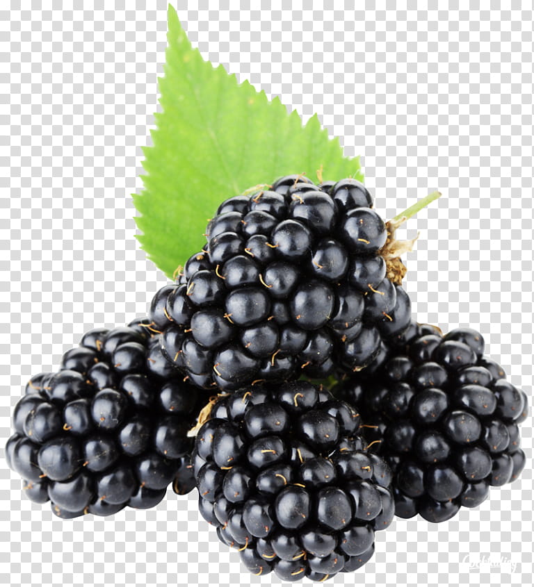 Pie, Blackberry Pie, Fruit, Berries, Raspberry, Black Raspberry, Tayberry, White Blackberry transparent background PNG clipart