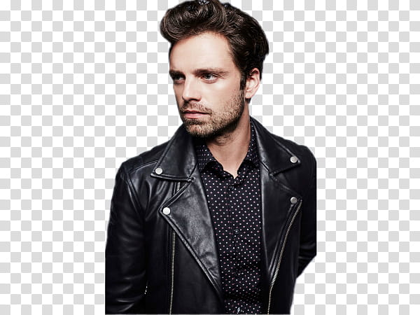 Sebastian Stan XXIV transparent background PNG clipart