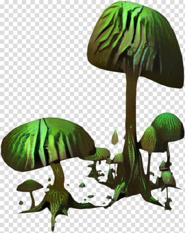 Green Leaf, Mushroom, Forest, Forest Green, Drawing, Terrestrial Plant, Tree, Plant Stem transparent background PNG clipart