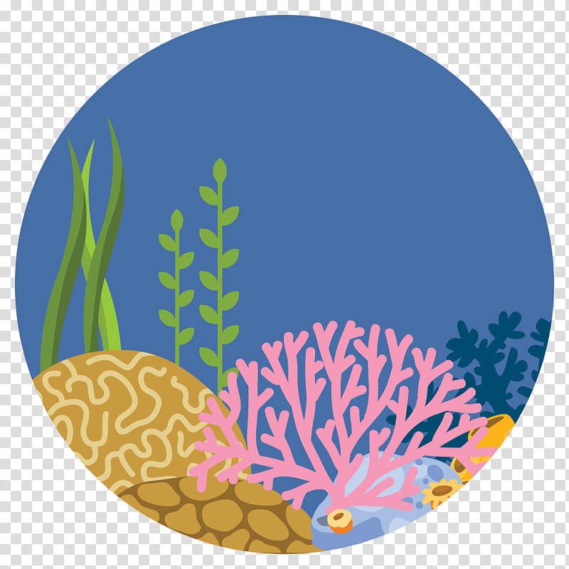 Sea Turtle, Green Sea Turtle, Marine Life, Aquatic Animal, Marine Habitats, Fish, Bivalvia, Ocean transparent background PNG clipart