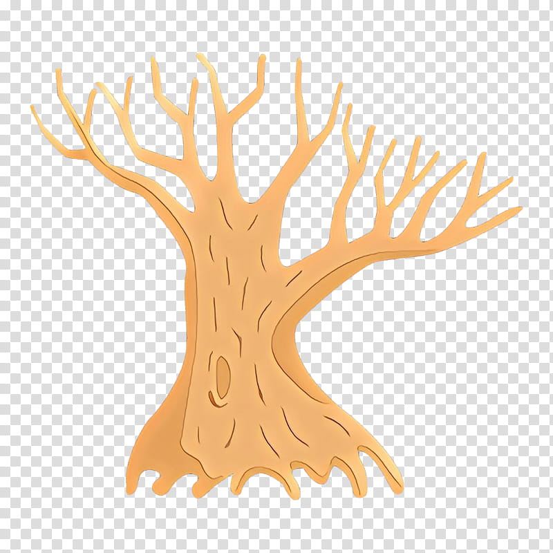 tree branch coral woody plant plant, Cnidaria transparent background PNG clipart