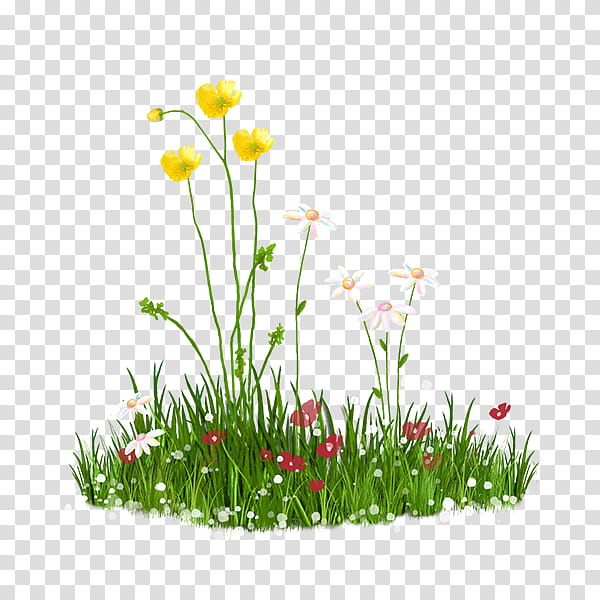 Drawing Of Family, BORDERS AND FRAMES, Lawn, Sticker, Flower, Plant, Grass, Petal transparent background PNG clipart