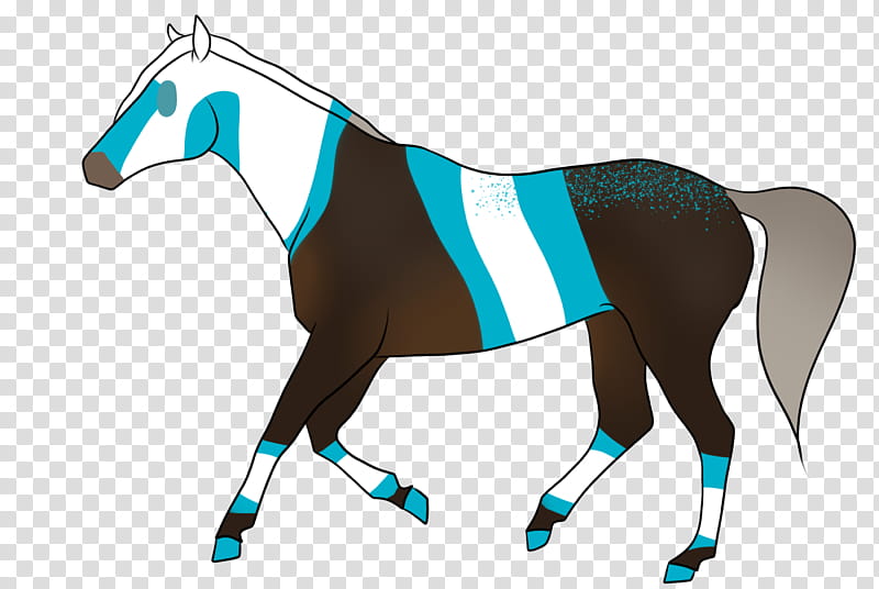 Horse, Mane, Stallion, Mustang, Halter, Mare, English Riding, Rein transparent background PNG clipart