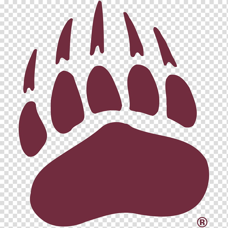 American Football, University Of Montana, Montana Grizzlies Football, Washingtongrizzly Stadium, Montana State Bobcats Football, Ncaa Division I Football Championship Subdivision, Sports, College Football transparent background PNG clipart