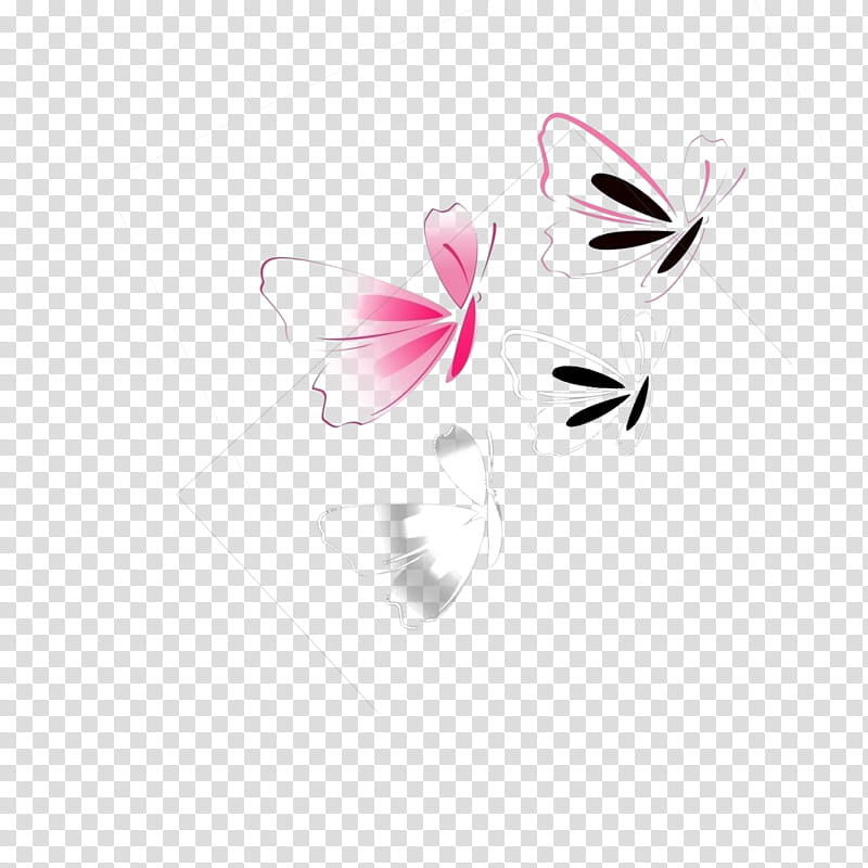 Black And White Flower, M Butterfly, Pink M, Computer, Design M Group, Moths And Butterflies, Pollinator, Plant transparent background PNG clipart