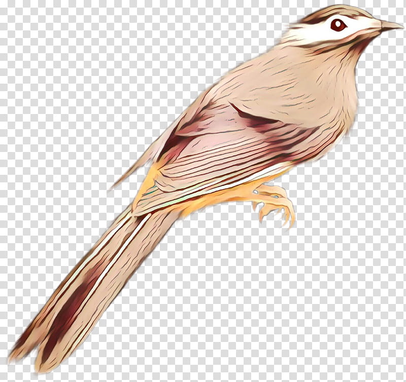 Painting, Ortolan Bunting, Finches, Common Nightingale, Beak, Feather, Cuckoos, Bird transparent background PNG clipart
