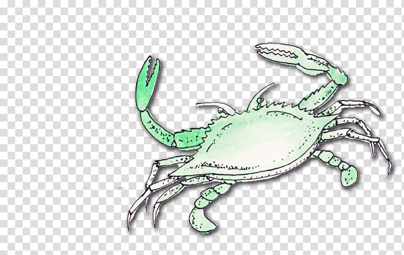 fruit, grey crab illustration transparent background PNG clipart