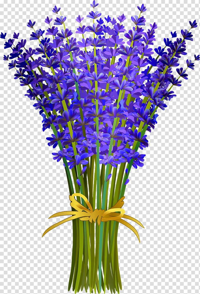 Bouquet Of Flowers Drawing, Flower Bouquet, English Lavender, Floral Design, Cut Flowers, Watercolor Painting, Rose, Aquarium Decor transparent background PNG clipart