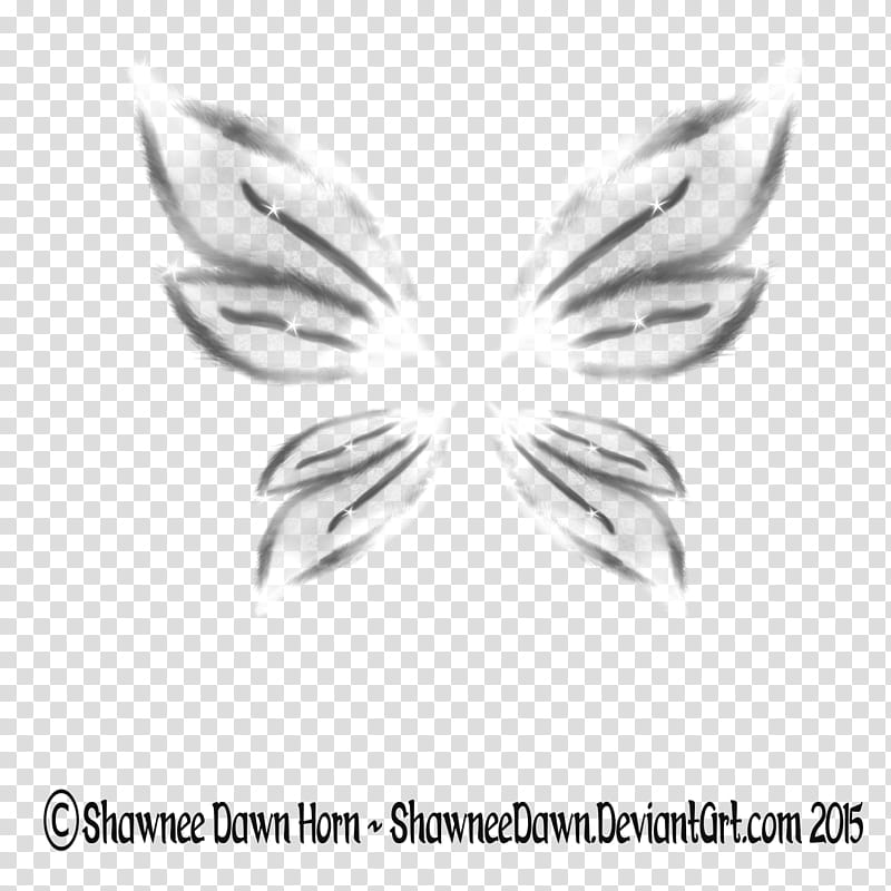 Fuzzy Wings age transparent background PNG clipart