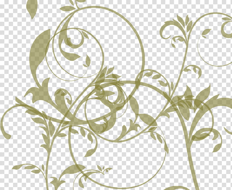 Black And White Flower, Floral Design, Leaf, Drawing, Twig, Plant Stem, Line Art, Petal, Plants, Flag Of Pakistan transparent background PNG clipart