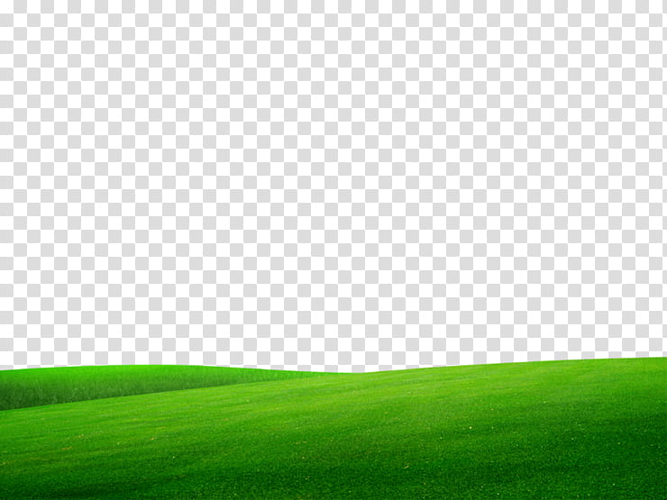 Green Grass, Lawn, Energy, Grassland, Computer, Sky Limited, Field, Meadow transparent background PNG clipart