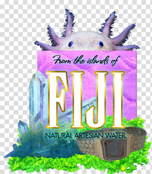 DVL PRY S, From the Islands of Fiji natural artesian water box transparent background PNG clipart