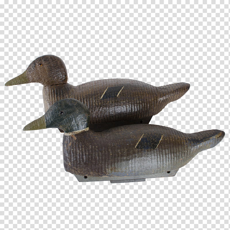 Duck, Mallard, Duck Decoy, Northern Pintail, Goose, American Pekin, Wood Duck, Drawing transparent background PNG clipart