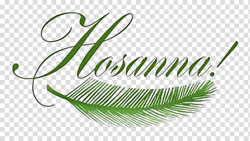 Palm Tree Leaf, Palm Sunday, Passion Sunday, Hosanna, Holy Week, Palm Trees, Passion Of Jesus, Triumphal Entry Into Jerusalem transparent background PNG clipart