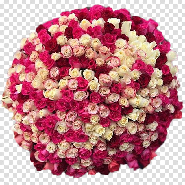 Social Service, Garden Roses, Flower, Vkontakte, Floral Design, Flower Bouquet, Cut Flowers, Personal Web Page transparent background PNG clipart