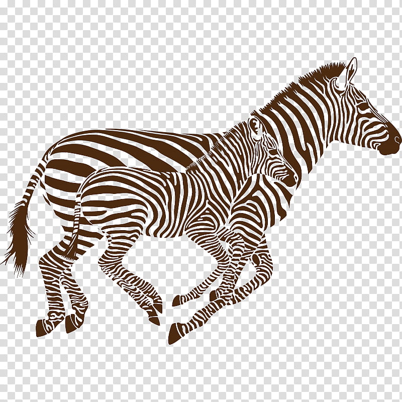 Cats, Horse, Zebra, Sticker, Quagga, Phonograph Record, Drawing, Wildlife transparent background PNG clipart