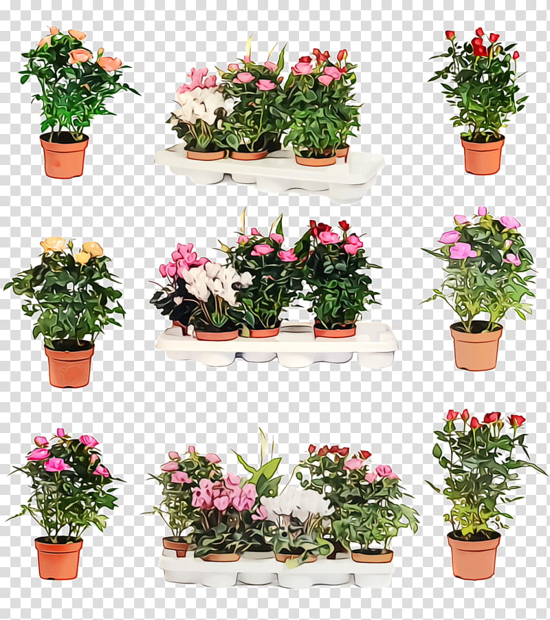 flower flowerpot plant flowering plant houseplant, Watercolor, Paint, Wet Ink, Shrub, Impatiens, Annual Plant, Azalea transparent background PNG clipart