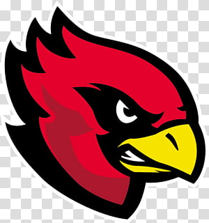 Louisville Cardinals Football St. Louis Cardinals Louisville Cardinals  Men's Basketball Cardinal Bird Mascot PNG, Clipart, Free