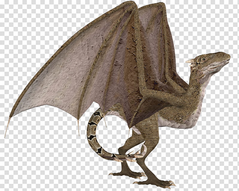 wyvern, brown winged creature transparent background PNG clipart
