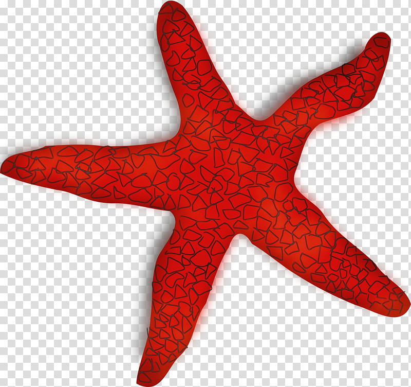 starfish red marine invertebrates carmine, Watercolor, Paint, Wet Ink transparent background PNG clipart