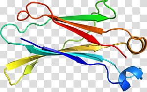 Line, Point, Area transparent background PNG clipart thumbnail