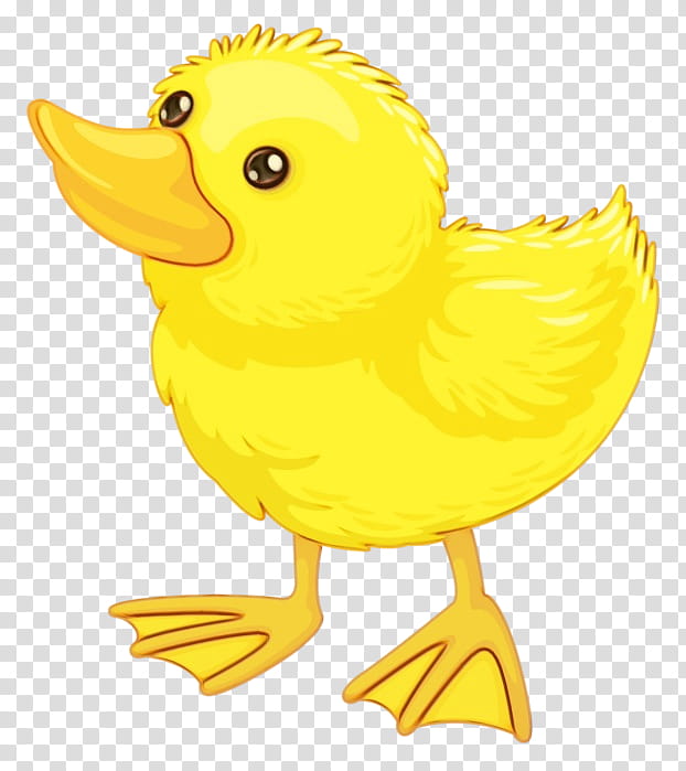 yellow bird duck beak, Watercolor, Paint, Wet Ink, Cartoon, Ducks Geese And Swans, Water Bird, Toy transparent background PNG clipart